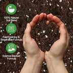Premium Peace Lily Potting Soil 10qt– All Natural, Well-Draining & Breathable Soil for Peace Lily & Indoor Plants - Image 3