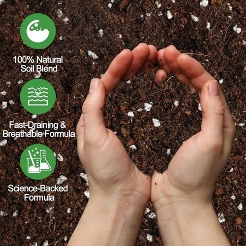 Premium Peace Lily Potting Soil 10qt– All Natural, Well-Draining & Breathable Soil for Peace Lily & Indoor Plants - Image 3