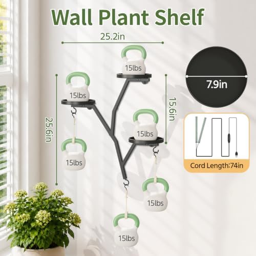 LASZOLA Plant Hanger Holder Wall Mounted Floating Shelf Indoor, Metal Black - Image 2