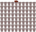 Yishang 2 inch Grey Small Terracotta Pots with Drainage Holes,Mini Clay Ceramic Pottery Planter,Cactus Flower Nursery Terra Cotta Pots, for Indoor/Outdoor Succulent Plants, Crafts(80 Pack) by Yishang