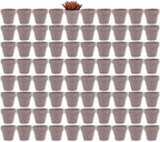 Yishang 2 inch Grey Small Terracotta Pots with Drainage Holes,Mini Clay Ceramic Pottery Planter,Cactus Flower Nursery Terra Cotta Pots, for Indoor/Outdoor Succulent Plants, Crafts(80 Pack) by Yishang