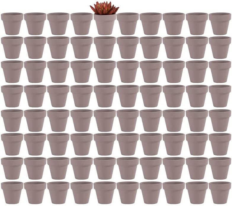 Yishang 2 inch Grey Small Terracotta Pots with Drainage Holes,Mini Clay Ceramic Pottery Planter,Cactus Flower Nursery Terra Cotta Pots, for Indoor/Outdoor Succulent Plants, Crafts(80 Pack) by Yishang