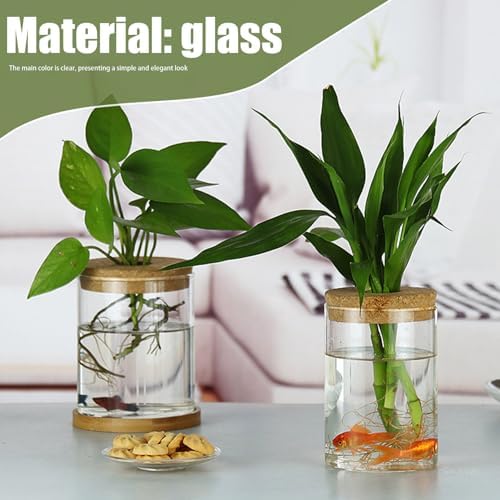3Pcs Plant Propagation Station, Transparent Lidded Propagation Stations with Tray Hydroponic DIY Jars for Home Office Desktop, Straight - Image 6