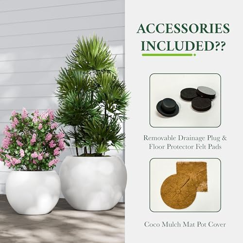 DTY Premium Mt Sherman Fiberstone Sphere Planter for Indoor Outdoor Use, Round Pot for Olive Tree, Lightweight, Smooth Finishes. 2 Extra Coco Mats. White, Large 21.1'' D x 16.7'' H. 14.6” Pot Opening - Image 5