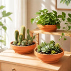 Laerjin Terracotta Pots, 6.43 Inch Shallow Planters with Saucers, 6 Pack - Image 2