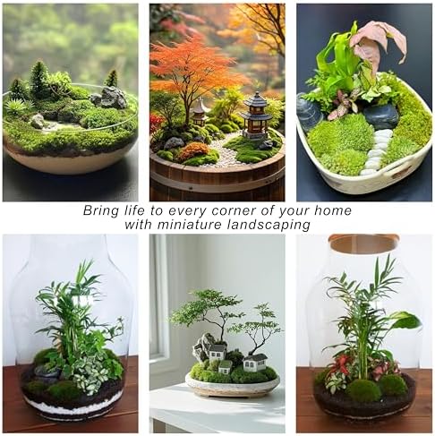 TurelinnG Preserved Moss Decor - Real Forest Moss, Moss for Crafts, Flexible for DIY Crafts, Home, Wall, Terrarium, Art Projects(Dark Green 2 sq.ft) - Image 6