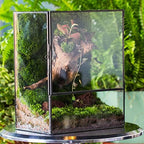 NCYP Close Glass Terrarium with Door - 7.8 x 5.1 x 9.8 Inches Landscape Clear Glass Planter for Small Tropical Plants, Moss Wall - Indoor Tabletop Centerpiece, Garden Decor (Terrarium Only) - Image 2