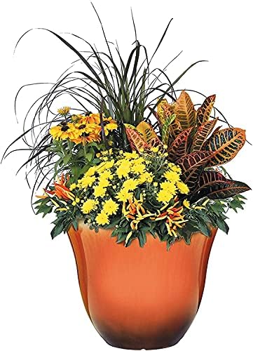Classic Home and Garden Honeysuckle Planter, Patio Pot,Tequila Sunrise Home, 15 Inch - Image 2