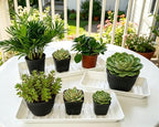 4 Pack Plastic Plant Tray Saucer Rectangular 17 18 Inch, Planter Trays Saucers for Indoor Outdoor, Plant Water Drip Trays, Windowsill, 7.7 x 17.5 Inches, White - Image 4