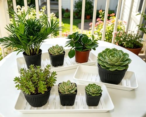 6 Pack Plastic Plant Trays Rectangular 14 Inch, Indoor Outdoor Plant Saucers with Drip Protection, Windowsill Planter Tray, 7 x 14.5 Inches, White - Image 4