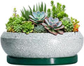 Succulent Planters 10 Inch - Ceramic Bonsai Pots with Drainage Hole and Saucer, Large Succulent Pots Indoor, Shallow Planter, Round Bowl Planter Outdoor, Patio Decor, Plant Lover Gift, Green by EPFamily