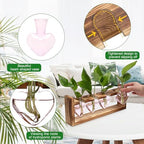 Plant Propagation Stations Heart Plant Terrarium Kit - Image 2
