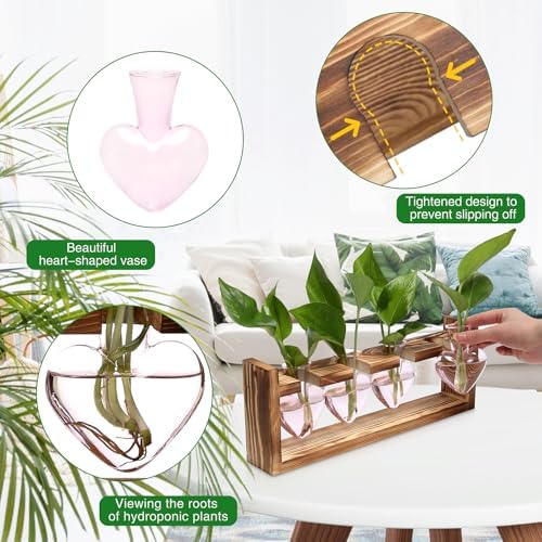 Plant Propagation Stations Heart Plant Terrarium Kit - Image 2