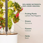 Gardyn Studio 2 Hydroponics Growing System - 16 Plants, Smart Tower - Image 7