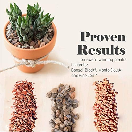 Bonsai Jack Succulent, Cactus and Bonsai Soil - Jacks Gritty Mix - 12 Gallons – Fast Draining – Fight Root Rot – Optimized pH - Image 5