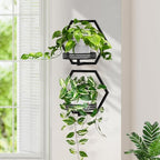3 Packs Wall Planters for Indoor Plants, 7.9inch Metal Wall Plant Holder Hanger Wall Decor, Wall-Mounted Hanging Planters Window Plant Shelves Outdoor (Black Openwork) - Image 5