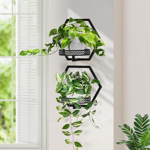 3 Packs Wall Planters for Indoor Plants, 7.9inch Metal Wall Plant Holder Hanger Wall Decor, Wall-Mounted Hanging Planters Window Plant Shelves Outdoor (Black Openwork) - Image 5