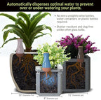 Ollas (Set of 4) | 12oz Terracotta Plant Watering Globes - Self Watering Planter Insert - Automatic Plant Watering Devices | Vacation Watering Pots for Indoor & Outdoor Plants - Image 2