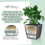 Lechuza 16160 Quadro LS 35 Self-Watering Planter, Cream White High Gloss - Image 5