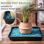 Eccliy 12 Pcs Plastic Plant Saucers Tray, Black, 14 Inch, Square - Image 4