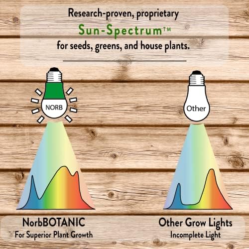 Norb NorbBOTANIC BR30 LED Grow Light – Full-Spectrum Sunlight Bulb for Indoor Plants - 14W Energy-Efficient Grow Lamp for Indoor Houseplants, Herbs, Seedlings & Tropical - E26 Base (2-Pack) - Image 4