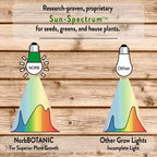 Norb NorbBOTANIC BR30 LED Grow Light – Full-Spectrum Sunlight Bulb for Indoor Plants - 14W Energy-Efficient Grow Lamp for Indoor Houseplants, Herbs, Seedlings & Tropical - E26 Base (2-Pack) - Image 4