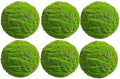 Green Artificial Moss Balls, Handmade Sphere Moss Hanging Balls for DIY Wedding Party Home Hotel Decoratio, Hangin Plants Landscape Landscaping Ball (Color : Diameter: 15cm/5.9in, Size : 6pcs) by WIGING