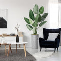 Artificial Tree in Black and White Geometric Planter, Fake Bird of Paradise Silk Tree for Indoor and Outdoor Home Decoration - 67" Overall Tall (Plant Pot Plus Tree) by SIGNWIN