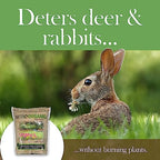 NitroOrganic Natural Plant Food Fertilizer, 5lbs (Pack of 2) - Provides Optimal Nutrient Intake to Enhance Root Growth in Lawns, Gardens, Raised Beds, Seedlings & More - Slow Release - Image 4