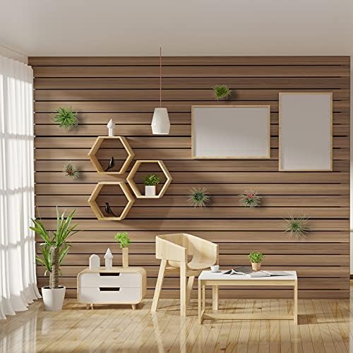 10 Pack Wall Mount Air Plant Holder (Adhesive tape,Stainless Steel Tillandsia Air Plant Planter)A Unique Set of Air Plant Containers for Creating Tillandsias Art Display On Wall (Medium) - Image 2