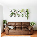 Daniel's Plants 3 Pack Mid-Century Modern L Shaped Wooden Plant Shelf Kit | Wall Mounted Floating Shelves | Solid Wood Wall Planter Shelf | Midnight Black - Image 3