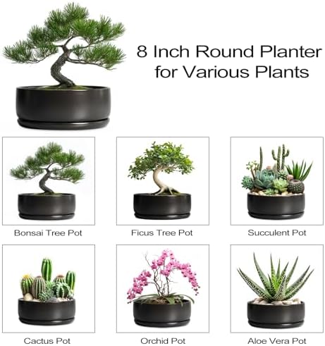 SQOWL Bonsai Pots - 8 Inch Ceramic Plant Pots for Succulents, Round Indoor Planter with Drainage Hole and Saucer, Shallow Modern Planter Bowl, Room Decor, Black - Image 7