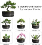 SQOWL Bonsai Pots - 8 Inch Ceramic Plant Pots for Succulents, Round Indoor Planter with Drainage Hole and Saucer, Shallow Modern Planter Bowl, Room Decor, Black - Image 7