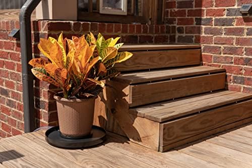 Drain Away Black 12 inch Plant Saucer Heavy Duty Drain Tray for Large Pots Indoor Outdoor Waterproof UV Resistant | Protect Floors Decks | 12in 15in 22in | White Gray Terra Cotta Black - Image 3