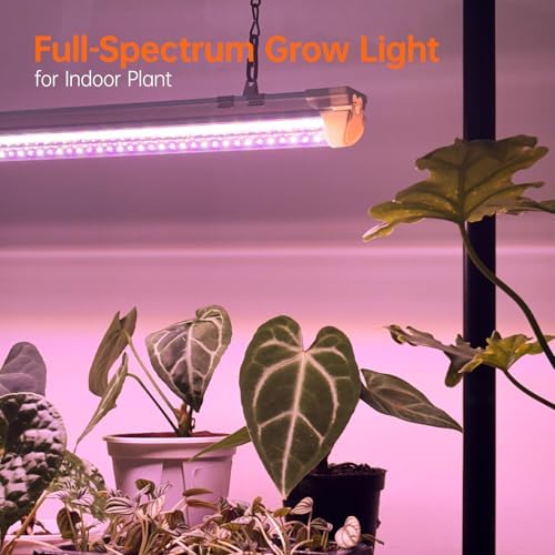 Bstrip 2ft Tabletop Grow Light Stand for Indoor Seed Starting - Image 3