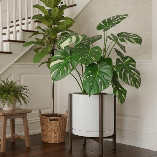 D'vine Dev Ceramic Pot with Walnut Wood Stand, White, 14 in, 55-B-T-1 - Image 6