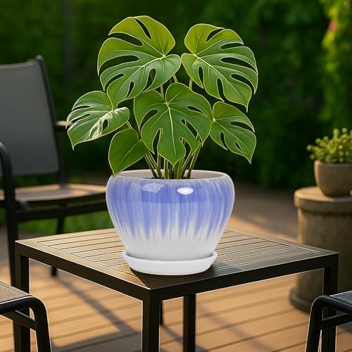 Deep Dream 8 Inch Plant Pots- Ceramic Pots for Plants with Drainage Hole and Saucer, Large Planter Pot for Indoor Plants Outdoor Decor, White&Blue - Image 3