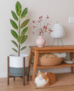 D'vine Dev Ceramic Pot with Walnut Wood Stand, White/Grey, 12 in, 55-B-W-6 - Image 4