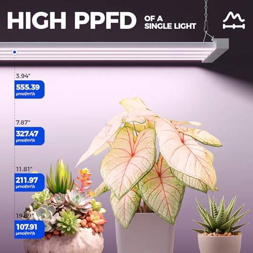 Barrina TX-L63 3FT LED Grow Light, 126W (2 x 63W), 4 Panels Wider Coverage - Image 4