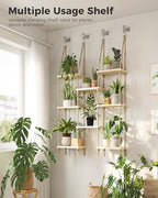 Bamworld Hanging Shelves 8Tiers Plant Hanger Indoor Window Plant Shelves - Image 4