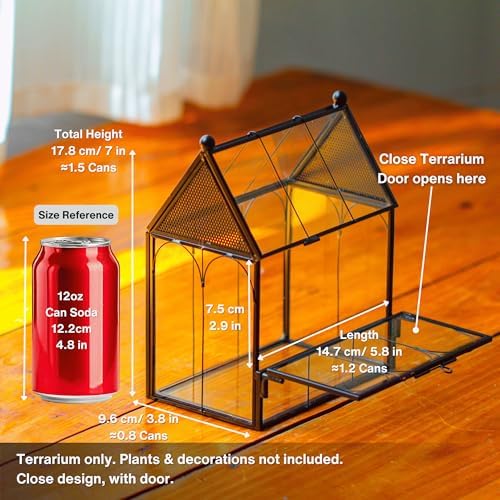 NCYP Small Glass Terrarium Enclosure with Mesh for Jumping Spiders, Micro House Shaped Small Spiders Vented Glass Terrarium, Home Decor Black, 5.8" x 3.8" x 7" (No Plants) - Image 4