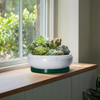 Bonsai Pots 13 Inch - Shallow Ceramic Planter with Drainage Hole and Saucer, Round Succulent Pots for Indoor Outdoor, Large Succulent Planter, Apartment Decor, Gardening Gifts, Green - Image 4