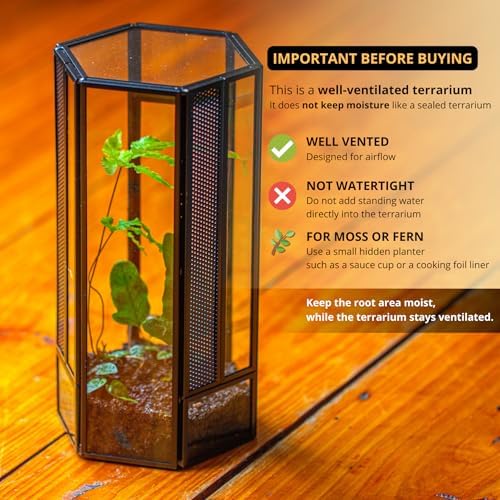 NCYP Glass Enclosure Terrarium with Mesh and Door for Small Spiders - Hexagon Shape, Small Mantis Vented Glass Terrarium 4.1'' x 3.6'' x 7.8'', Tabletop Decor, Black (Plants Not Include) - Image 3