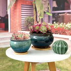 8 and 5.5 Inch Succulent Pot with Drainage and Saucer Glazed Terracotta Round Ceramic Succulent Planter Cactus Bonsai Plant Pot (White and Green) - Image 4