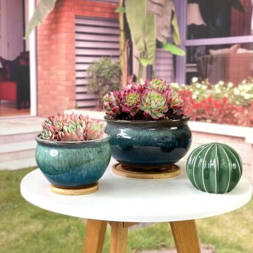 8 and 5.5 Inch Succulent Pot with Drainage and Saucer Glazed Terracotta Round Ceramic Succulent Planter Cactus Bonsai Plant Pot (White and Green) - Image 4