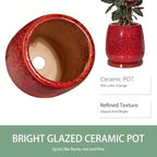 10.3 Inch Ceramic Glaze Plant Pot with Saucer, Flower Pots with Drainage Hole Mesh Net (Spot Red) - Image 6
