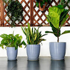 10 Inch Plant Pot - Round Ceramic Planter with Drainage Hole and Plant Saucer Indoor Outdoor for Decoration, Modern Home Garden Office Decor, House Warming Gifts, Blue-Purple - Image 7