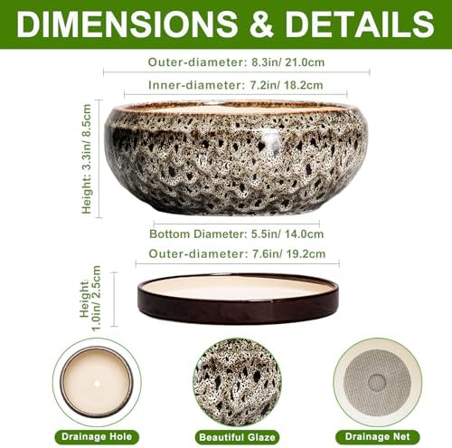 Bonsai Pots - 8 Inch Ceramic Pots for Plants with Drainage Hole and Saucer, Round Succulent Pot, Bonsai Planters Indoor Outdoor, Shallow Planter Bowl, Patio Decor, Gardening Gift, White - Image 2