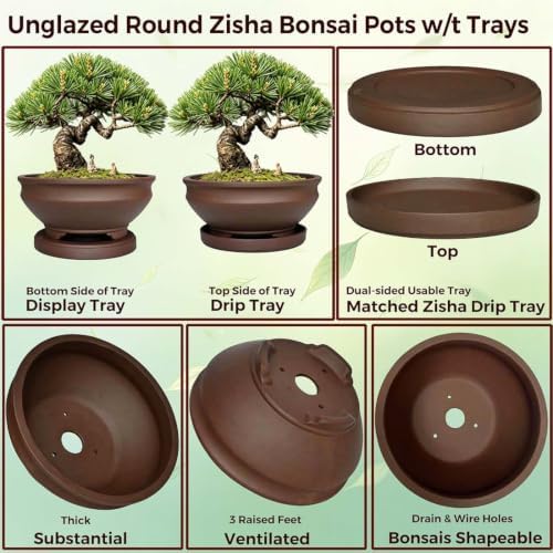 MUZHI 8 inch Ceramic Bonsai Tree Pots for Indoor Outdoor Plants with Tray, Vintage Purple Clay Plant Bowl for Succulent Arrangement Money Tree - Image 3