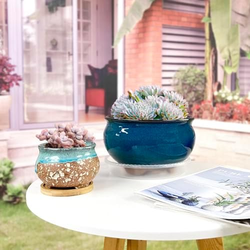 8 Inch Succulent Pot with Drainage and Saucer Glazed Terracotta Round Ceramic Succulent Planter Cactus Bonsai Plant Pot (Dark Green) - Image 4